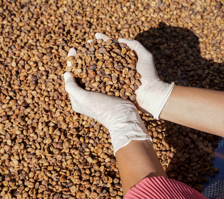 Beneficios del grano
