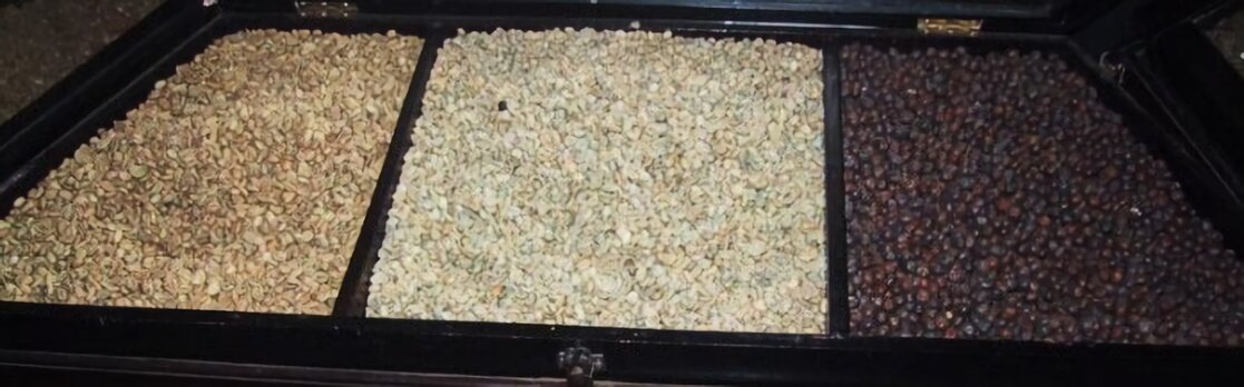Beneficios del grano