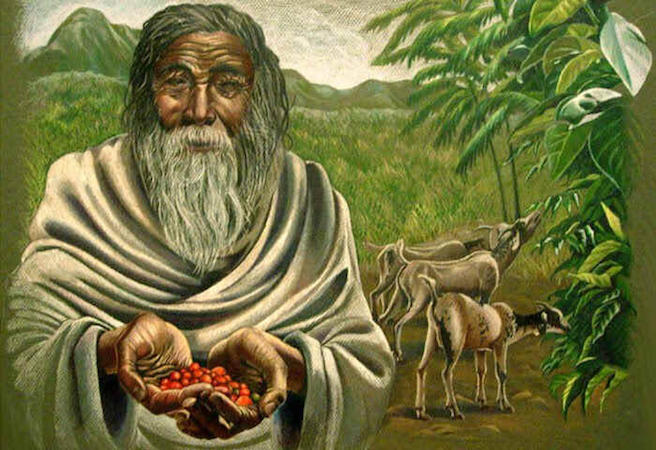 Historia del café